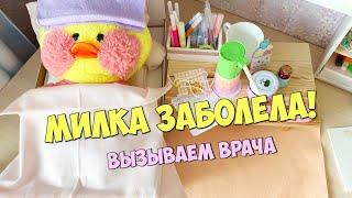 Уточка Милка заболела!   Что назначил врач уточке LALAFANFAN?