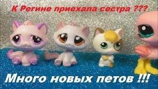 LPS: СУПЕР ПОСЫЛКА от Евы из Москвы