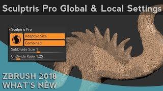 005 ZBrush 2018 Sculptris Pro Global And Local