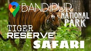 Bandipur National Park | Tiger Reserve Safari | Wildlife | VLOG-03  #bandipur #safari  #forest