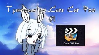 Туториал по Cut CUT pro | #1 Простая анимация