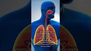 Hemoglobin: The oxygen carrier of life