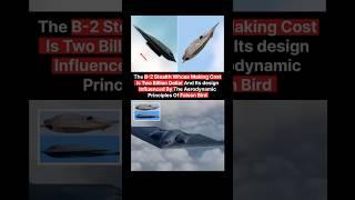 2 Billion Dollar Craft  | #facts #information #shorts