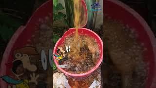 INDAH WATER HOUSE WATER FILTER
