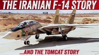 The Grumman F-14 Story and the Iranian Tomcats: The Shah's Super-Fighter You Were Never Meant to See