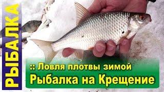 Ловля плотвы зимой на мормышку с прикормкой - Рыбалка на Крещение (БВХ, Дельфин)