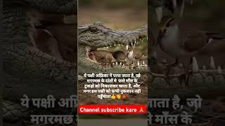 motivational motivation video #education #pcs ssc net ctet tet b.tech m.tech bed med btc bsc msc 