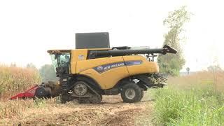 NUOVA NEW HOLLAND CR 8.90+CAPELLO 10FILE ECASEIH AXIAL FLOW 6140+DOMINONI 8FILE