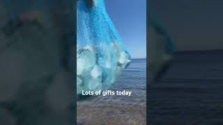 Sea Glass collecting on the Northumberland Coast