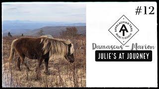 Julie (Garden State)’s Appalachian Trail Vlog #12: Damascus to Marion