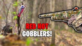 RUNNING TO THE CALL!!! Early Season, Public Land Gobblers