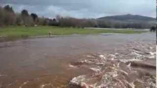 Cyclist takes the plunge as swollen River Usk bursts its banks at Abergavenny