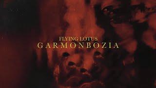 Flying Lotus - Garmonbozia (Official Visualizer)