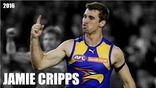 Jamie Cripps 2016 Highlight Reel