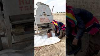 ￼ Nisha Meena video #flimsy #funny #flimred #comedy #flimroll #villagelife #love #vlog #fimy