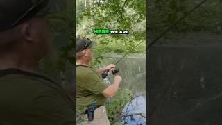 Giant Swamp Catfish! #shorts #fishing #outdoors #shortsvideo #shortsviral #viral #viralshorts