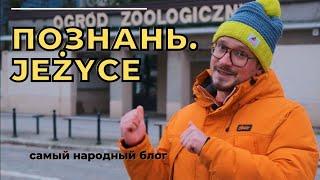 Познань. Какой район выбрать? Jeżyce