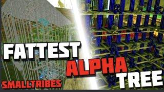 How we Built the Fattest Tree on Smalls! Road To Alpha! ARK OFFICIAL SMALLTRIBES