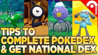 How to Complete the Pokedex & Get the National Dex in Pokemon Brilliant Diamond & Shining Pearl