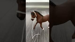 This is a clipclop🫶