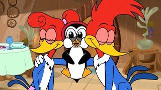 The Perfect Date | Woody Woodpecker