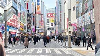 En Vivo desde Akiba