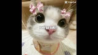 HAIIIIIIIIIIIIIIIIIIIIIIIII