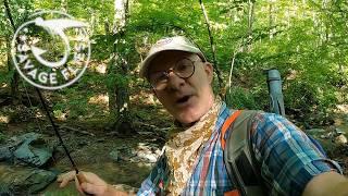 Fly Fishing Shenandoah National Park (native Brook Trout)