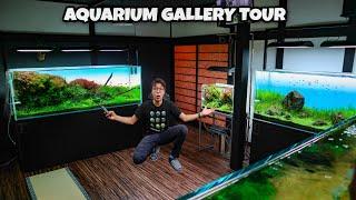 PRIVATE TOUR Inside AMAZING HOME AQUARIUM GALLERY - Breathtaking ADA Aquascaped Aquariums