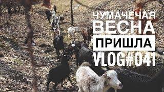 Чумачечая весна пришла