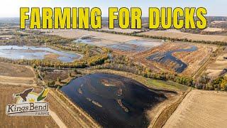 FINAL PREP FOR OPENING DAY!! Harvest, Blind Work, Pumping Water | HOMETURF EP5