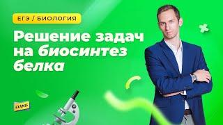 РЕШЕНИЕ ЗАДАЧ НА СИНТЕЗ БЕЛКА | БИОЛОГИЯ