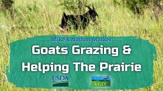 How Do Goats Graze & How Does That Help The Prairie Presented by Nathan Marker with KGLC USDA NRCS