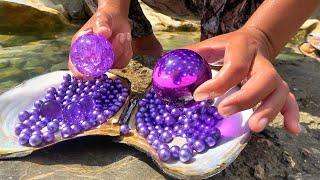 Uncovering the Mystery of River Clams: The Story of a Girl Collecting Purple Pearl