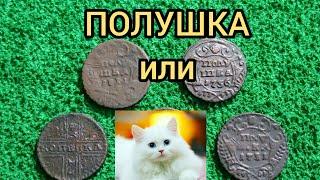 монета Полушка или полу Кошка 1731