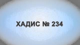 Молился в загонах для оыец. Сахих Бухари. Хадис № 234