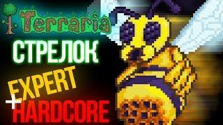 Прохождение Terraria за стрелка. Хардкор. Эксперт. Королева пчёл #2