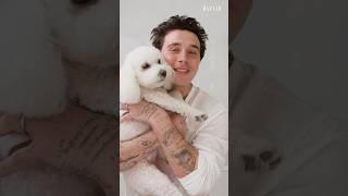 Seems like #BrooklynBeckham’s dog agrees. #GoToBedWithMe #SkinCare