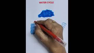 How a draw water cycle easily