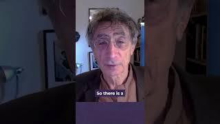 Gabor Maté: Why some people never heal from trauma 