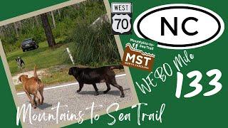 Mountains to Sea Trail  |  WEBO Mile 0133