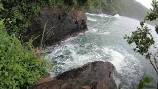 THE TRAIL SEEKERS NATURE TRAILS AND TOURS VLOG| HIKE TO PEECHON COVE| NORTH COAST TRINIDAD   EP.1