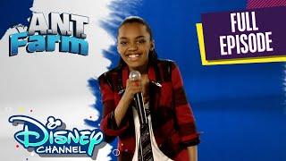 Transplanted | S1 E1 | Full Episode | A.N.T. Farm | @disneychannel