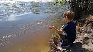 водопад на реке кудьма