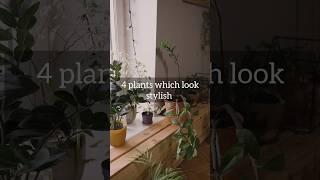 4 plants which look Stylish #biosphereflora #plantstyling #indoorplants