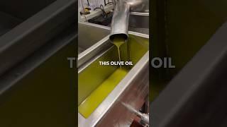 How Italians make their olive oil Part 2