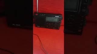 New shortwawe antenna style with Nhk radio 15290 khz