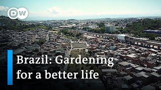 A community garden that has brought hope to the favela | Global Ideas