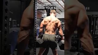 5 EXERCISES TO BUILD YOUR BACK #fitness #workout
