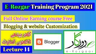 lecture 14 - How to customize Website - E rozgar training program - Earning from websites - mianwali